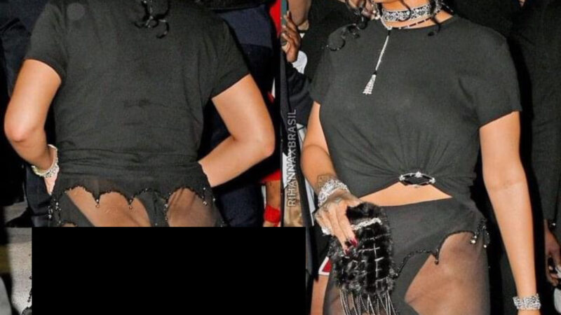 Rihanna wears a see-through outfit that shows off her entire lower body and disgusting b.u.t.t