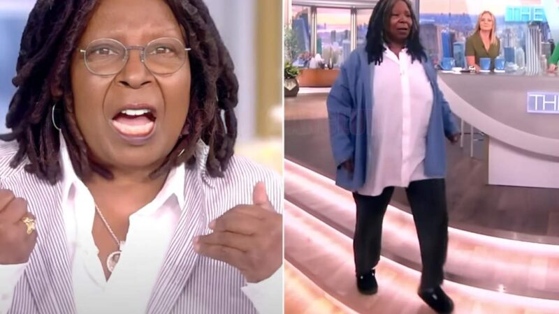 Whoopi Loses It, Gets Kicked Off Her Own Show