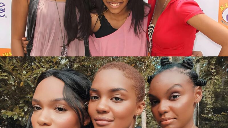 China Anne McClainâ€™s Sisters: Lauryn and Sierra McClain