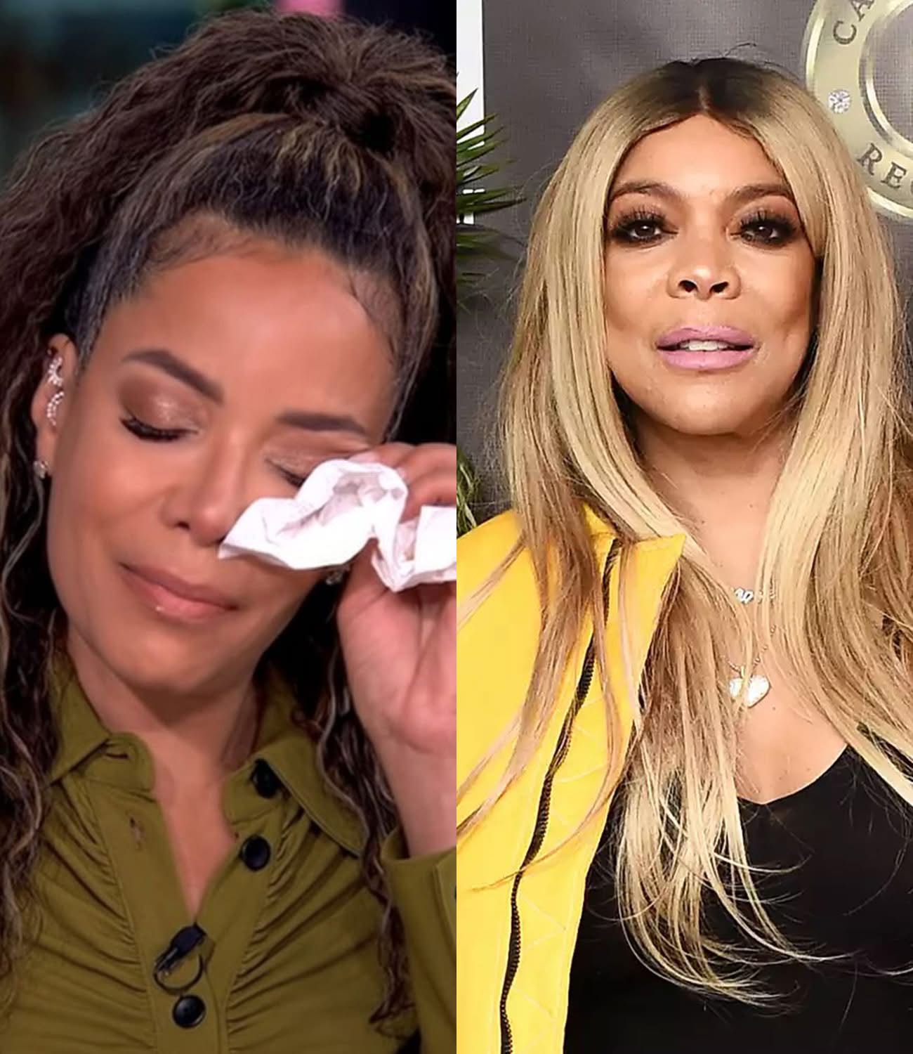 The View audience members spill details on ‘heartbreaking’ pretaped Wendy Williams interview