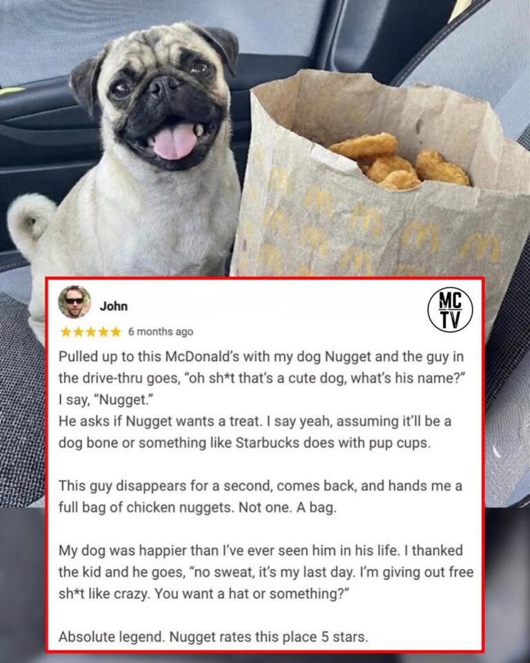 This hilarious McDonald’s review is going viral 🐶