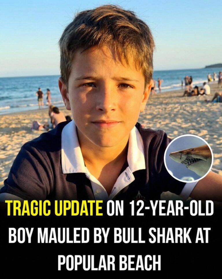 No words for this 💔