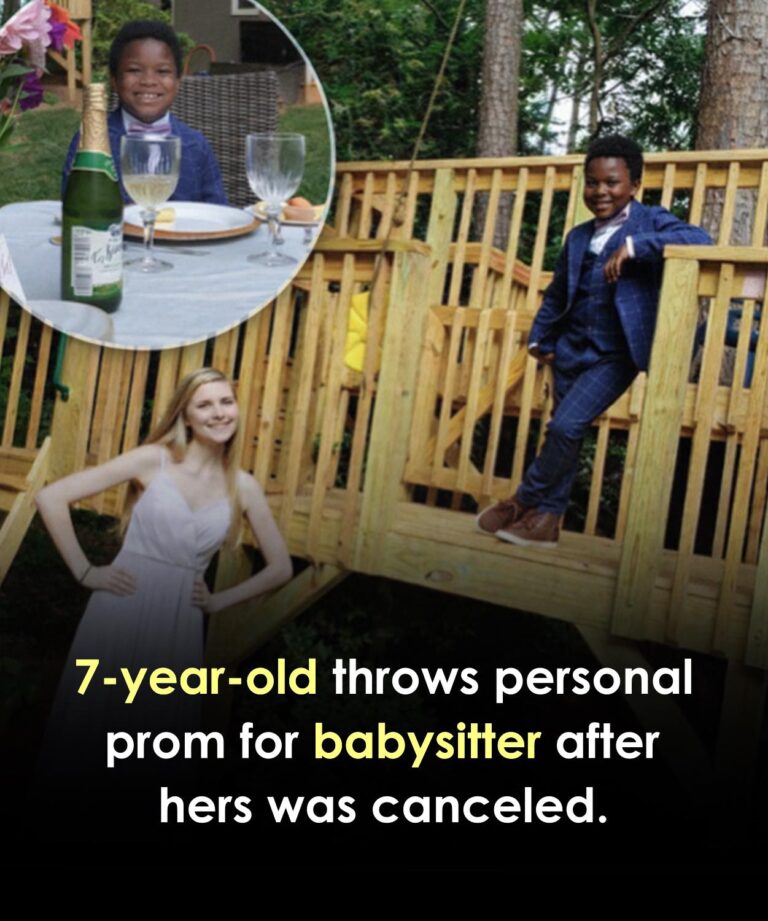 7-year-old throws a personal prom for his babysitter