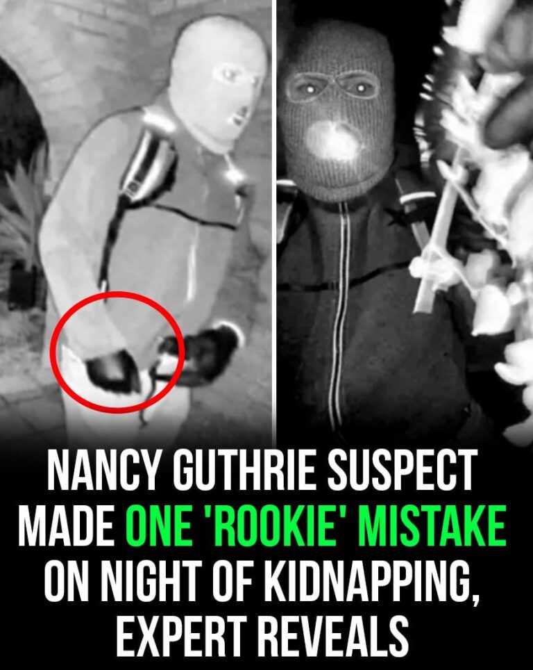 Nancy Guthrie suspect