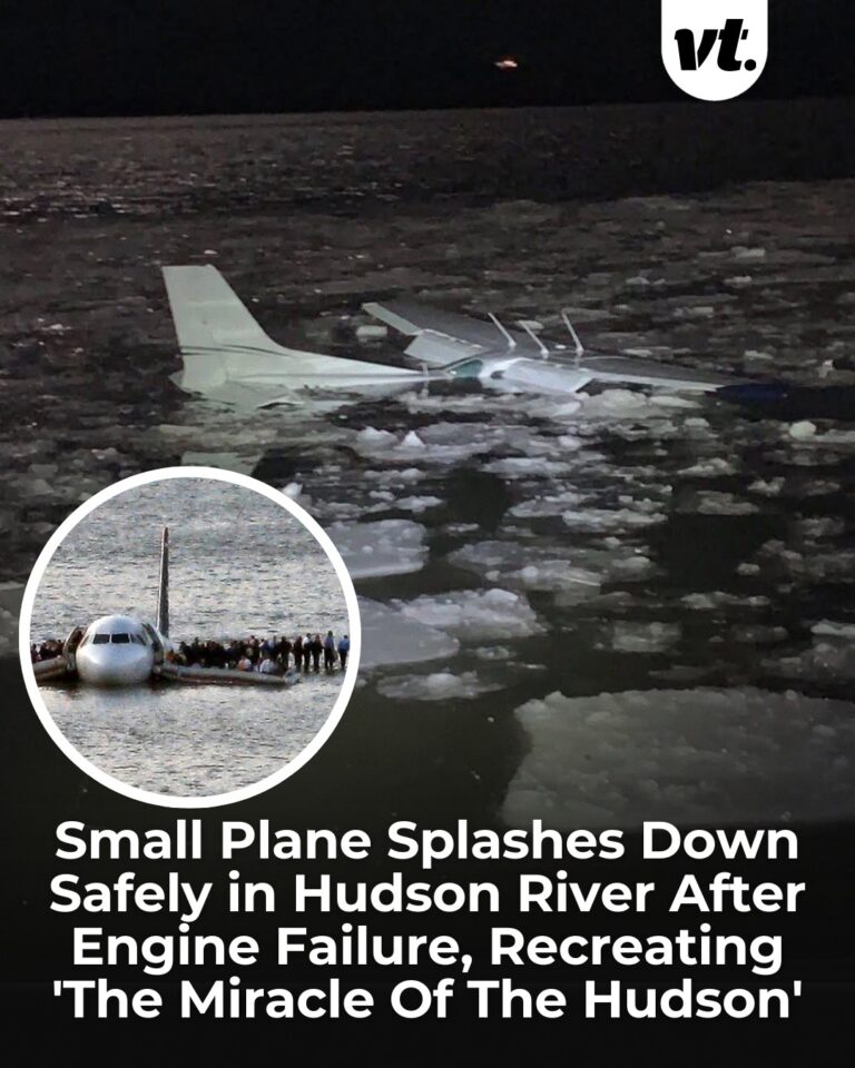 Miracle on the Hudson—Again: Training Plane Makes Dramatic River Landing Near Newburgh