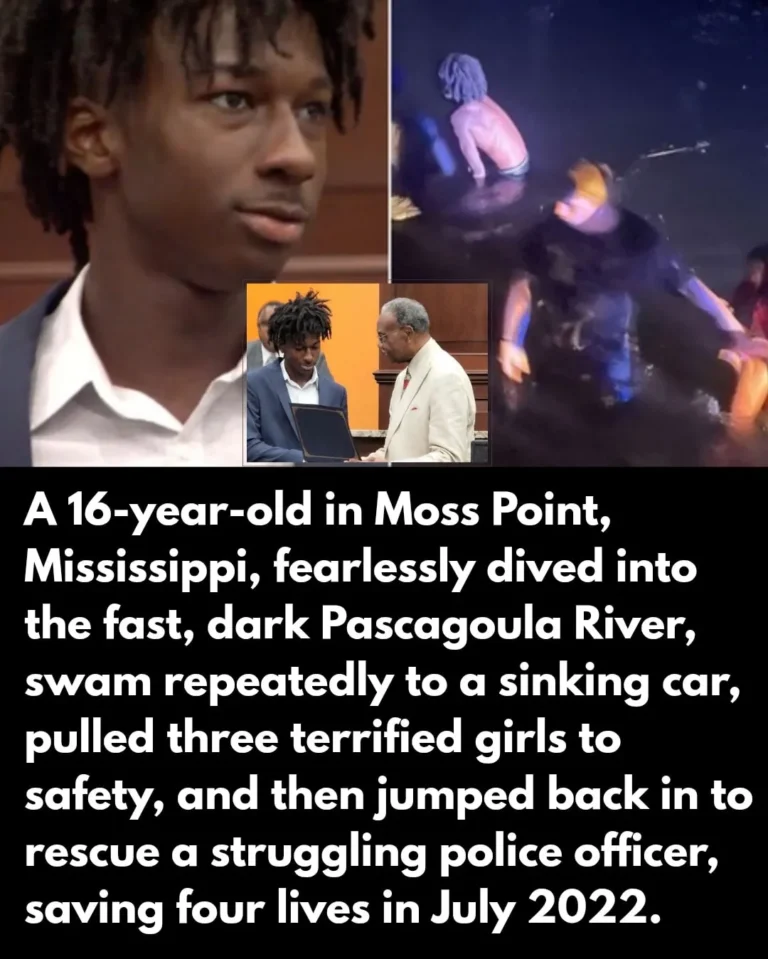 Teen Hero Jumps Into River, Saves Three Girls and a Police Officer