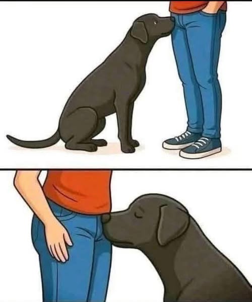 Did you know that if a dog smells your parts it’s po….