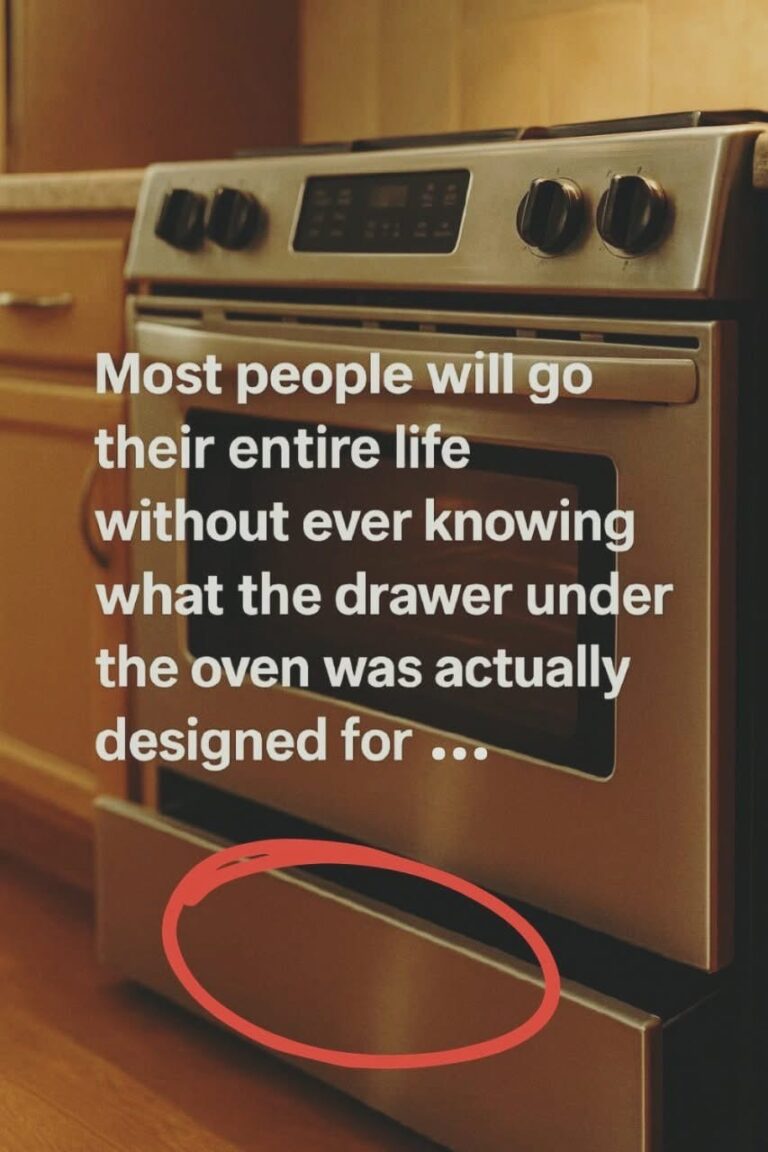 Think You Know Your Kitchen? That Drawer Under the Oven Has a Surprising Secret!