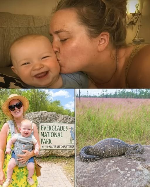 Single Mom Vanished…