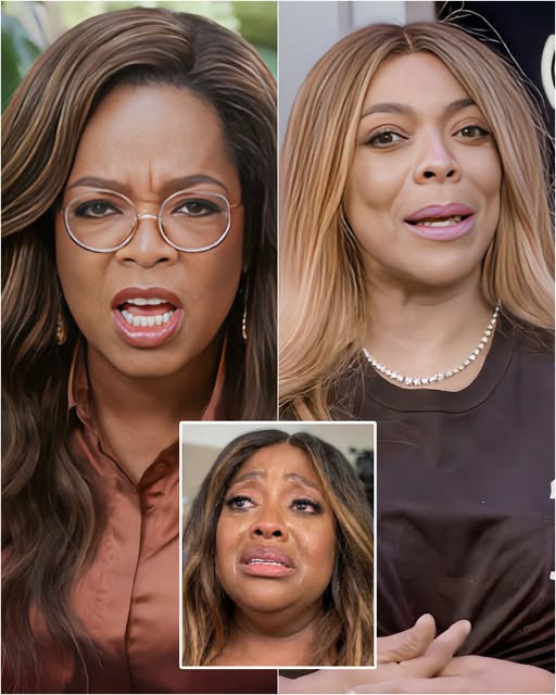 Oprah is FURIOUS after Wendy Williams allegedly snatched Sherri Shepherd’s seat back on daytime TV. | HO’