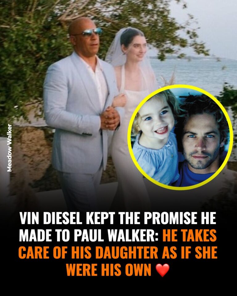 A Bond Beyond the Screen: Vin Diesel, Paul Walker, and a Promise That Endured