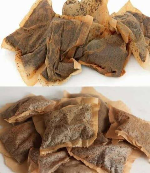 Don’t make the mistake of throwing away tea bags, they are worth their weight in gold used this way…