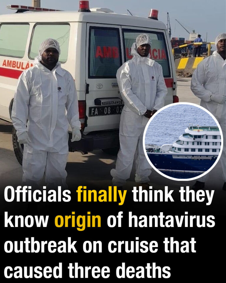 Officials now believe they may have finally uncovered what caused the terrifying cruise ship outbreak that left three people dead…