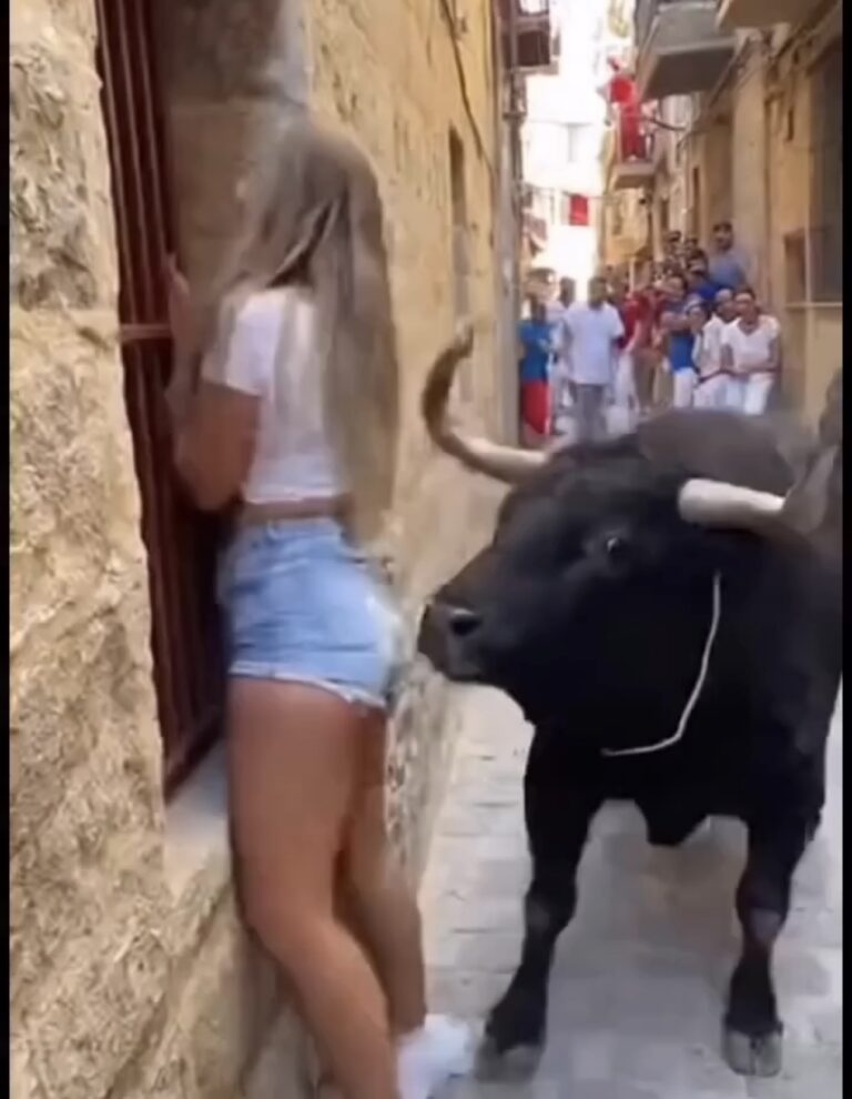 “Tourist Faces Bull — What Happens Next Will