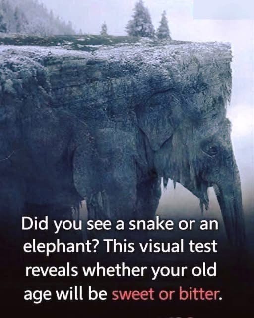 The First Animal You Notice May Reflect Interesting Traits About Your Thinking Style