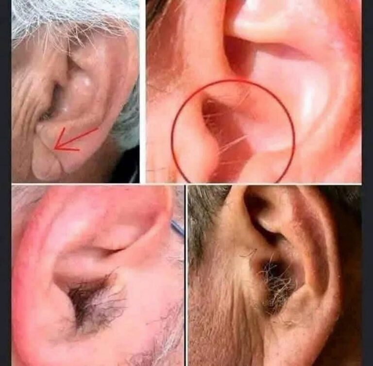 DID YOU KNOW