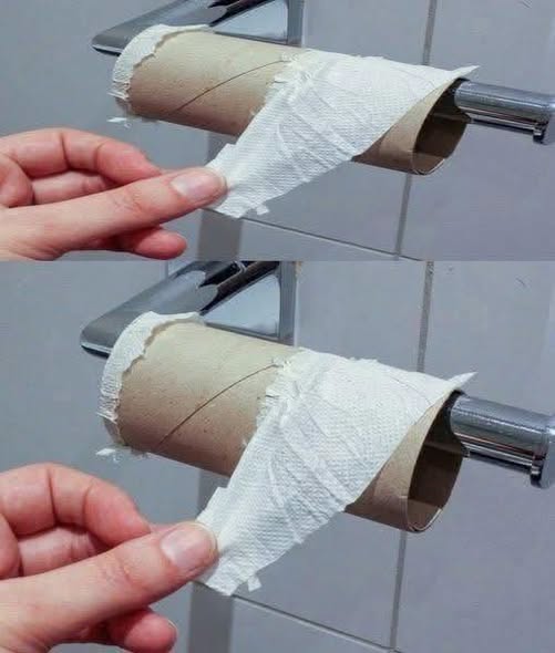 Why More People Are Rethinking Toilet Paper and Choosing Greener Bathroom Habits