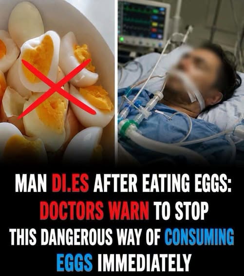 Can Eating Eggs the Wrong Way Really Be Dangerous? Separating Facts From Fear