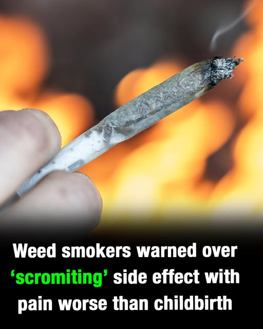 What is ‘scromiting’? US citizens warned about terrifying cannabis side effect