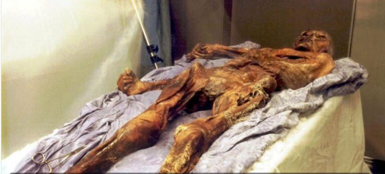 Scientists find yeast in frozen mummy’s guts, use it to make sourdough bread