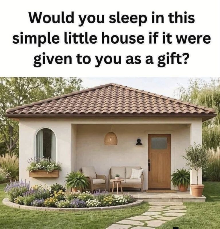 The Growing Appeal of Small Homes