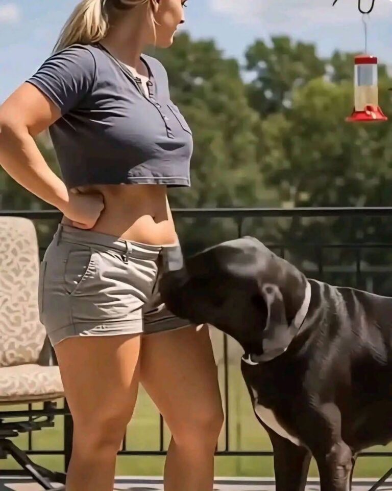 Why Your Dog Is Obsessed With Sniffing Your Private Parts! The Hidden Science Behind This Embarrassing Habit
