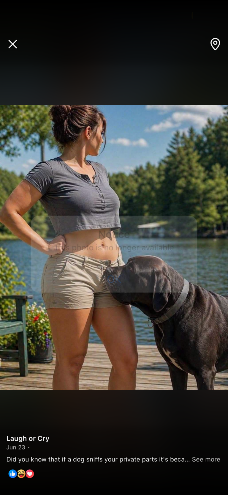 Why Dogs Sniff Your Private Parts: Understanding the Science Behind the Behavior