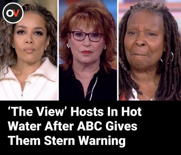 ‘The View’ Hosts In Hot Water After ABC Gives Them This Warning