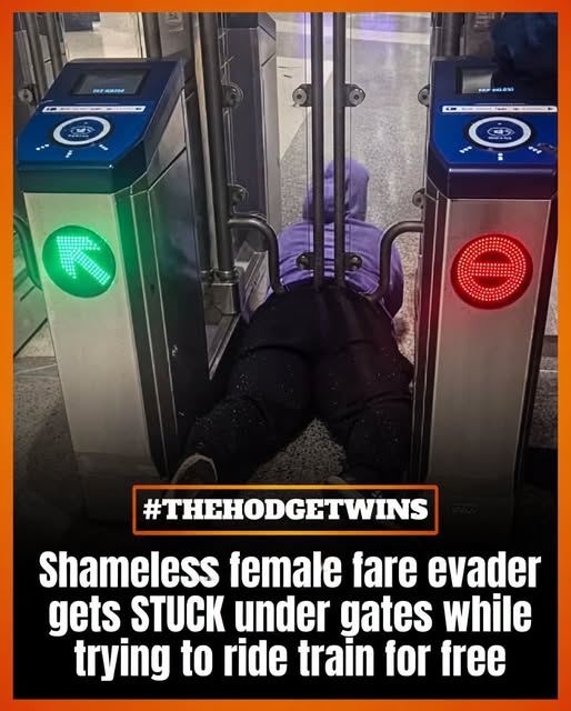 Fare Dodge Goes Viral: Woman Gets Stuck Under New BART Gate in San Francisco