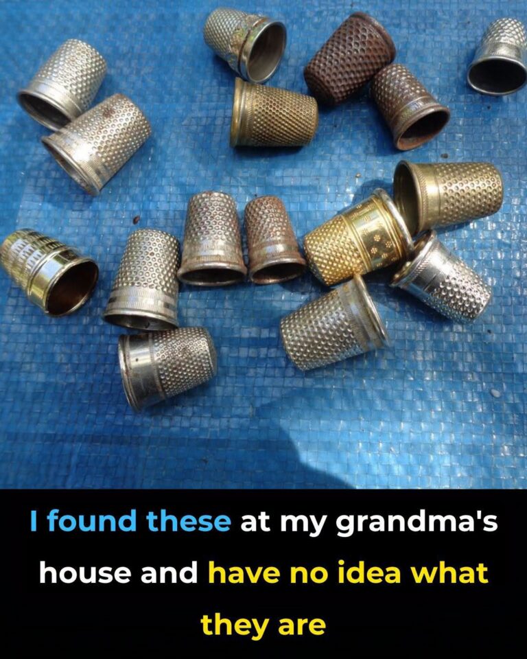 So this is what it does, here is the answer