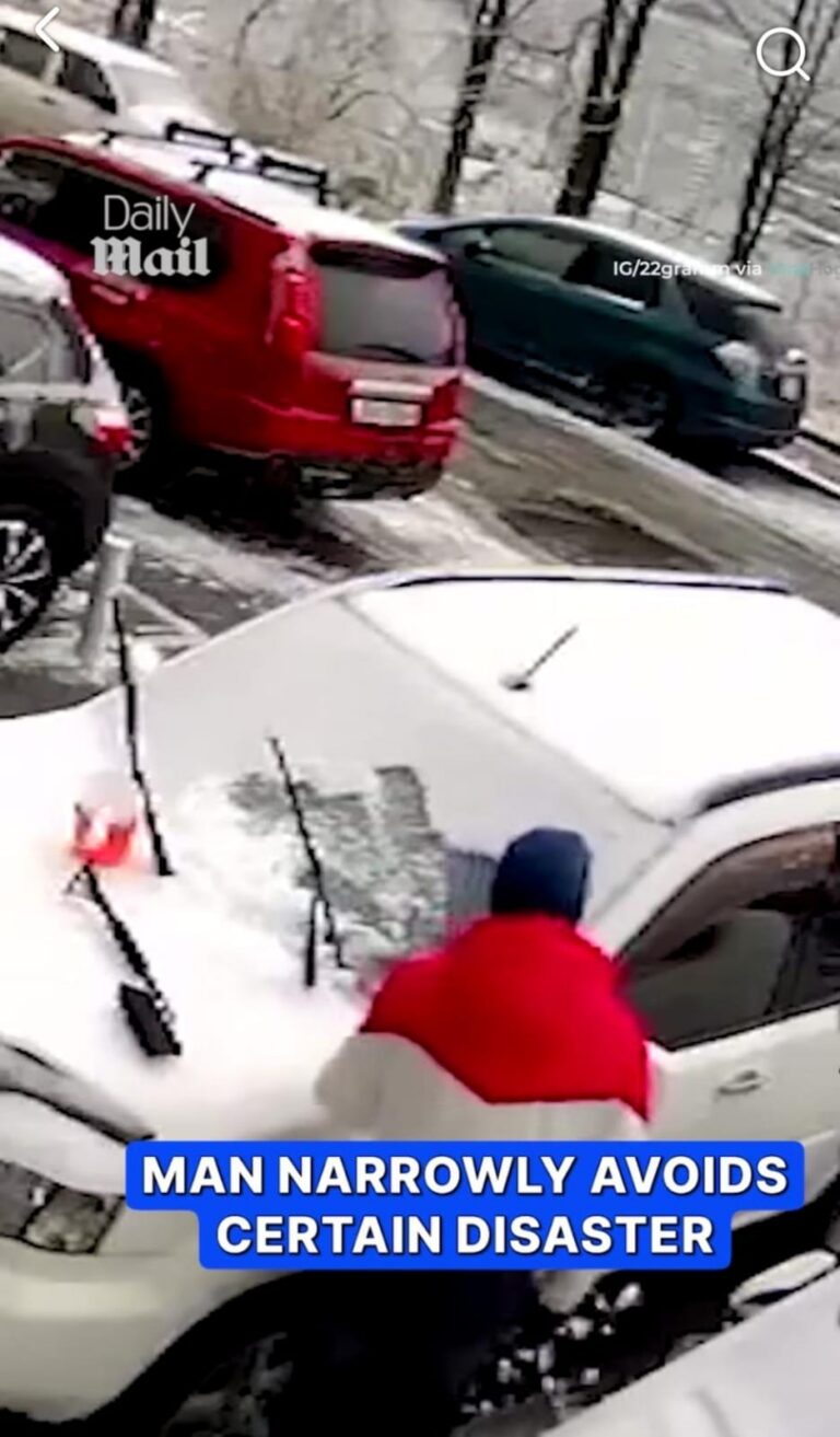 He Noticed It at the Last Second 😳 One Step Closer—and It Could Have Ended in Disaster