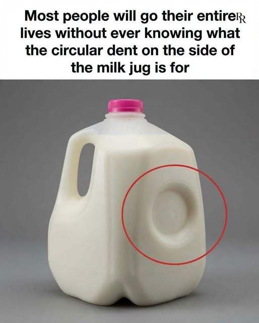 The Hidden Purpose Behind That Little Dent on Your Milk Jug — And Why It Matters More Than You Think