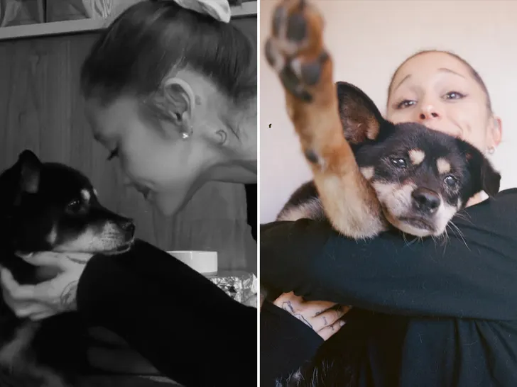 Ariana Grande is mourning the loss of her longtime dog Coco